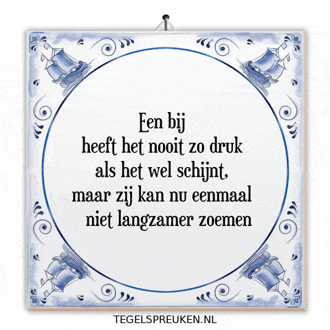 Focus Nl GIF by Tegelspreuken.nl