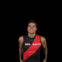 Sam Afl GIF by Essendon FC