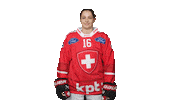 swissicehockeyfederation celebration celebrate goal ice hockey Sticker