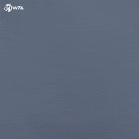 Happy Point GIF by WTA