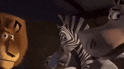 Awkward Weirdo GIF