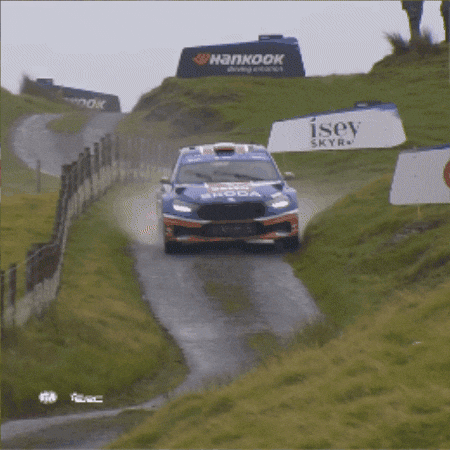 Rallying Fast Car GIF by FIA European Rally Championship