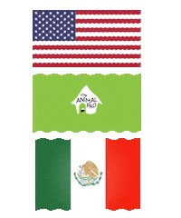 Mexico Usa Sticker by theanimalpad