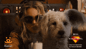 Adopt Best Friends GIF by Best Friends Animal Society