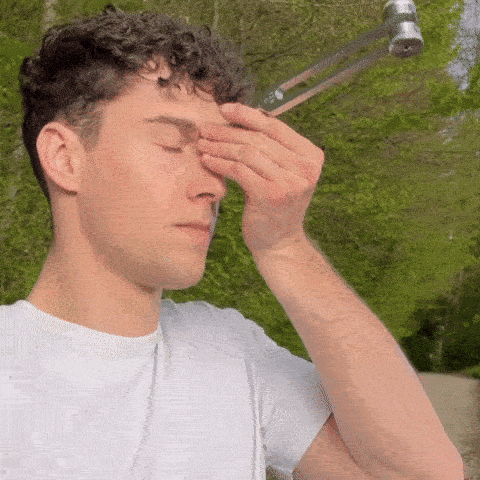 Gif 3