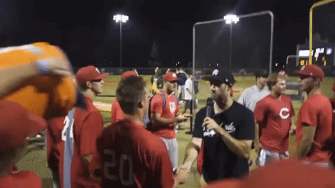 areacodebaseball giphygifmaker GIF