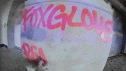 Street Art Graffiti GIF by Hurray For The Riff Raff
