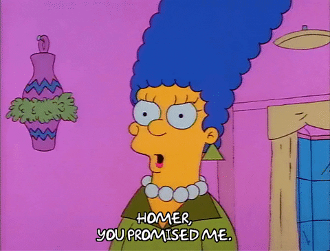 Season 1 GIF by The Simpsons