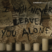 Film Horror GIF by Arrow Video