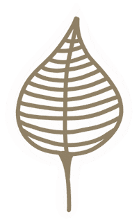 Autumn Leaf Sticker by yvoscholz