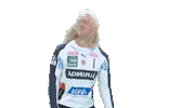 Handball-Bundesliga Rock Sticker by LIQUI MOLY HBL
