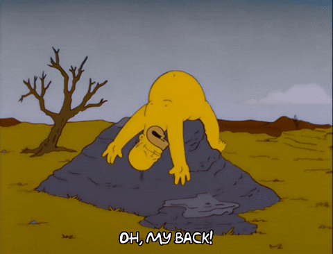homer simpson GIF