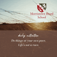 MorristownBeardSchool  GIF