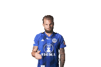 Football Soccer Sticker by FORTUNA:LIGA