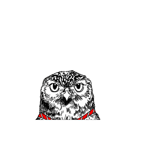 Jimbobart giphygifmaker what coffee office Sticker