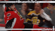 stanley cup playoffs GIF by NHL