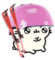 Sport Snow Sticker