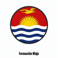 Flag Bandera GIF by Formación Ninja