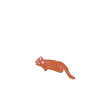 Happy Cat Sticker