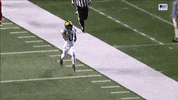 Go Blue Michigan Football GIF by Michigan Athletics