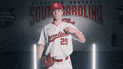 Hitting South Carolina GIF by gamecocksonline