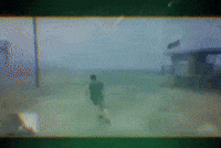 Dream Limes GIF