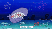 season 10 episode 3 GIF by SpongeBob SquarePants