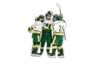 Go Bulls Sticker by USF Hockey Club