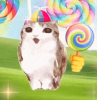 Cat Kitten GIF
