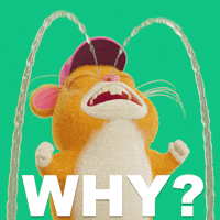 Why Me Hamster GIF by Grind