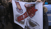 Happy Celebration GIF by MolaTV