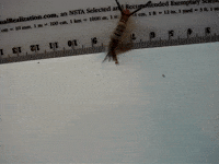 Confused Education GIF by DIIMSA Stock