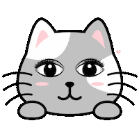 Cat Sticker