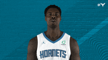 North Carolina Sport GIF by Charlotte Hornets