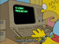 Confused Homer Simpson GIF