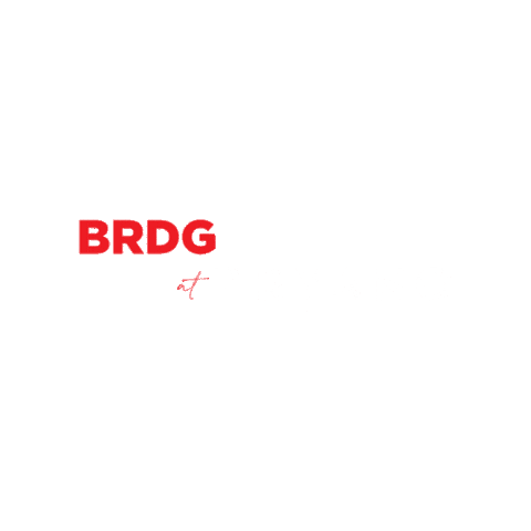 Brdg At Tryano Sticker by BRDG