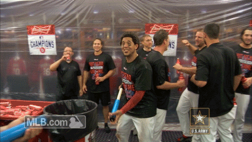 celebration lol GIF by MLB