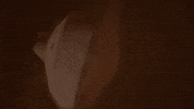 Landing Jet Propulsion Laboratory GIF by NASA