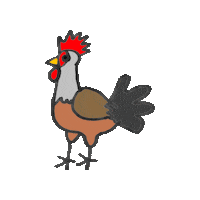 Chicken Sticker