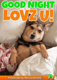 Henlo Hooman Fren GIF by PetJuvenate - PJ