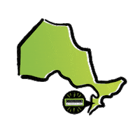 cstudentsinc 2020 graduate grad csi Sticker