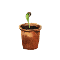 Trees-for-the-Future plant tree plants trees Sticker