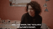 broadcity season 1 episode 2 broad city vagina GIF