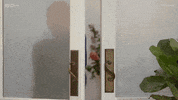 Arrival GIF by The Traitors Australia