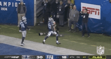 Regular Season Football GIF by NFL
