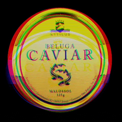 Attilus_caviar giphygifmaker caviar GIF