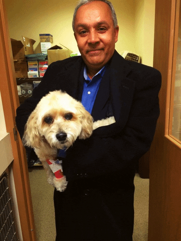 drashokjbharucha giphygifmaker GIF