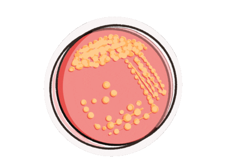 Zozamood Sticker