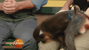 rachaelrayshow funny cute gif baby GIF