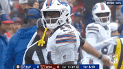 National Football League GIF by NFL